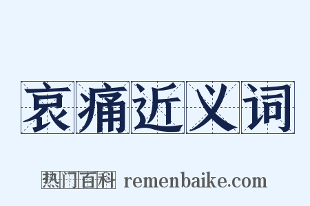 哀痛近义词是什么意思的图片